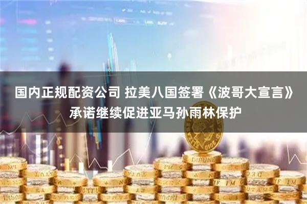 国内正规配资公司 拉美八国签署《波哥大宣言》 承诺继续促进亚马孙雨林保护