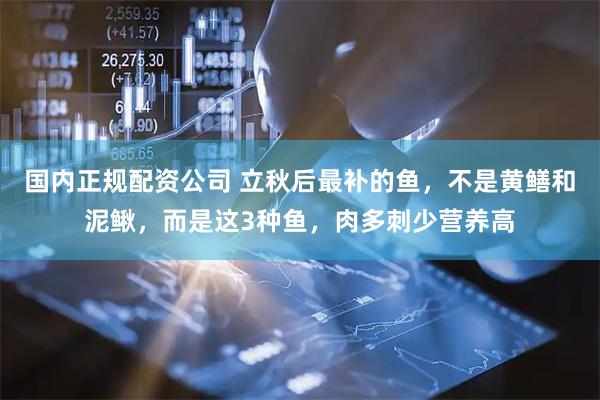 国内正规配资公司 立秋后最补的鱼，不是黄鳝和泥鳅，而是这3种鱼，肉多刺少营养高