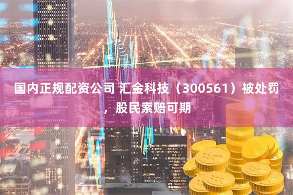 国内正规配资公司 汇金科技（300561）被处罚，股民索赔可期