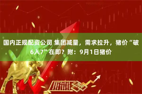 国内正规配资公司 集团减量，需求拉升，猪价“破6入7”在即？附：9月1日猪价