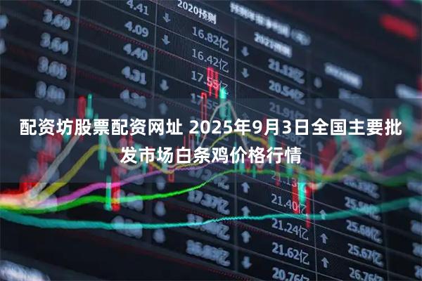 配资坊股票配资网址 2025年9月3日全国主要批发市场白条鸡价格行情
