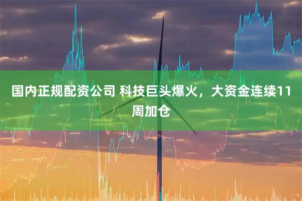 国内正规配资公司 科技巨头爆火，大资金连续11周加仓