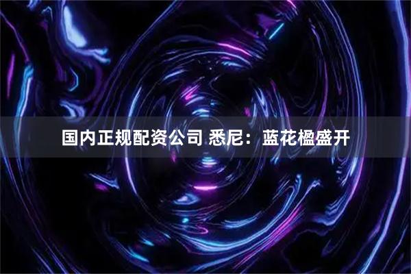 国内正规配资公司 悉尼：蓝花楹盛开