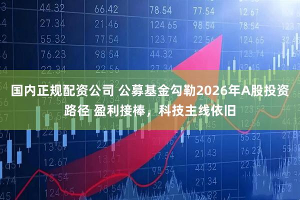 国内正规配资公司 公募基金勾勒2026年A股投资路径 盈利接棒，科技主线依旧