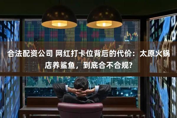 合法配资公司 网红打卡位背后的代价：太原火锅店养鲨鱼，到底合不合规?
