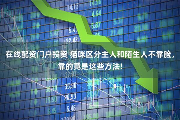 在线配资门户投资 猫咪区分主人和陌生人不靠脸，靠的竟是这些方法!