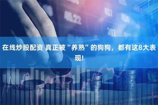 在线炒股配资 真正被“养熟”的狗狗，都有这8大表现!