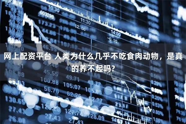网上配资平台 人类为什么几乎不吃食肉动物，是真的养不起吗?