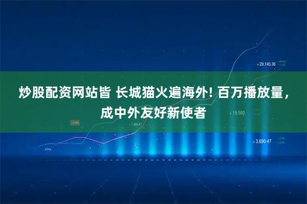 炒股配资网站皆 长城猫火遍海外! 百万播放量，成中外友好新使者