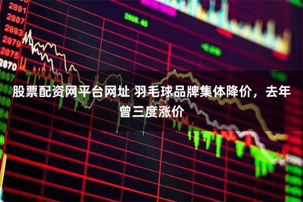 股票配资网平台网址 羽毛球品牌集体降价,去年曾三度涨价