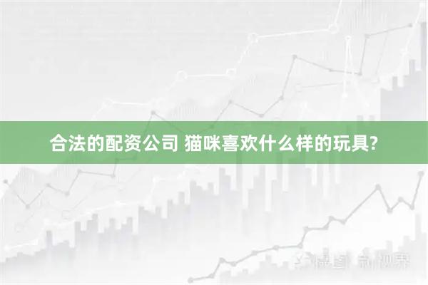 合法的配资公司 猫咪喜欢什么样的玩具?
