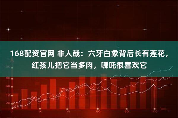 168配资官网 非人哉：六牙白象背后长有莲花，红孩儿把它当多肉，哪吒很喜欢它