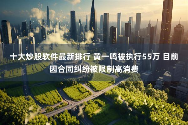 十大炒股软件最新排行 黄一鸣被执行55万 目前因合同纠纷被限制高消费