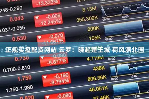 正规实盘配资网站 云梦：晓起楚王城 荷风满北园