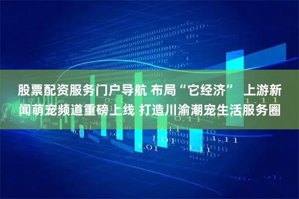 股票配资服务门户导航 布局“它经济”  上游新闻萌宠频道重磅上线 打造川渝潮宠生活服务圈