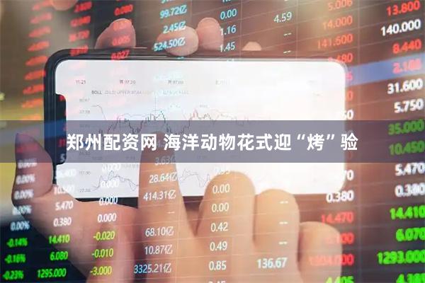 郑州配资网 海洋动物花式迎“烤”验
